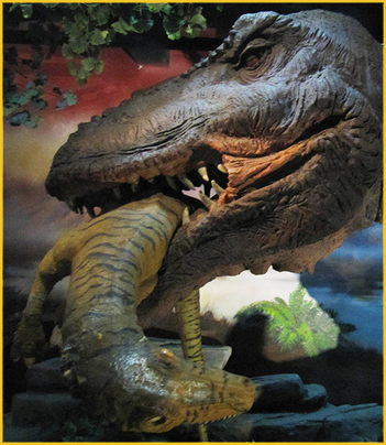 Dinosaur Exhibition in Beijing